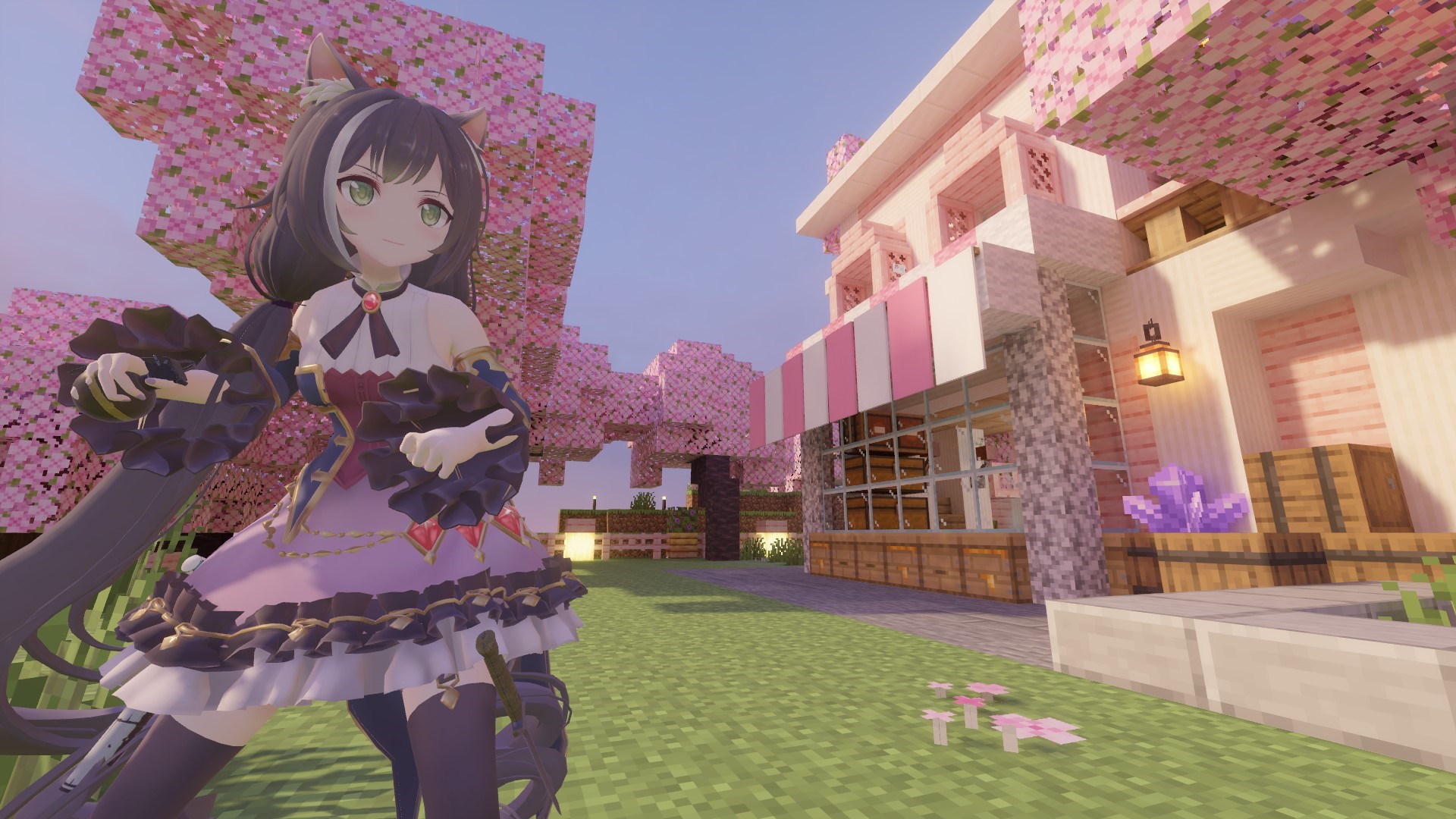 kyaru 1.jpg