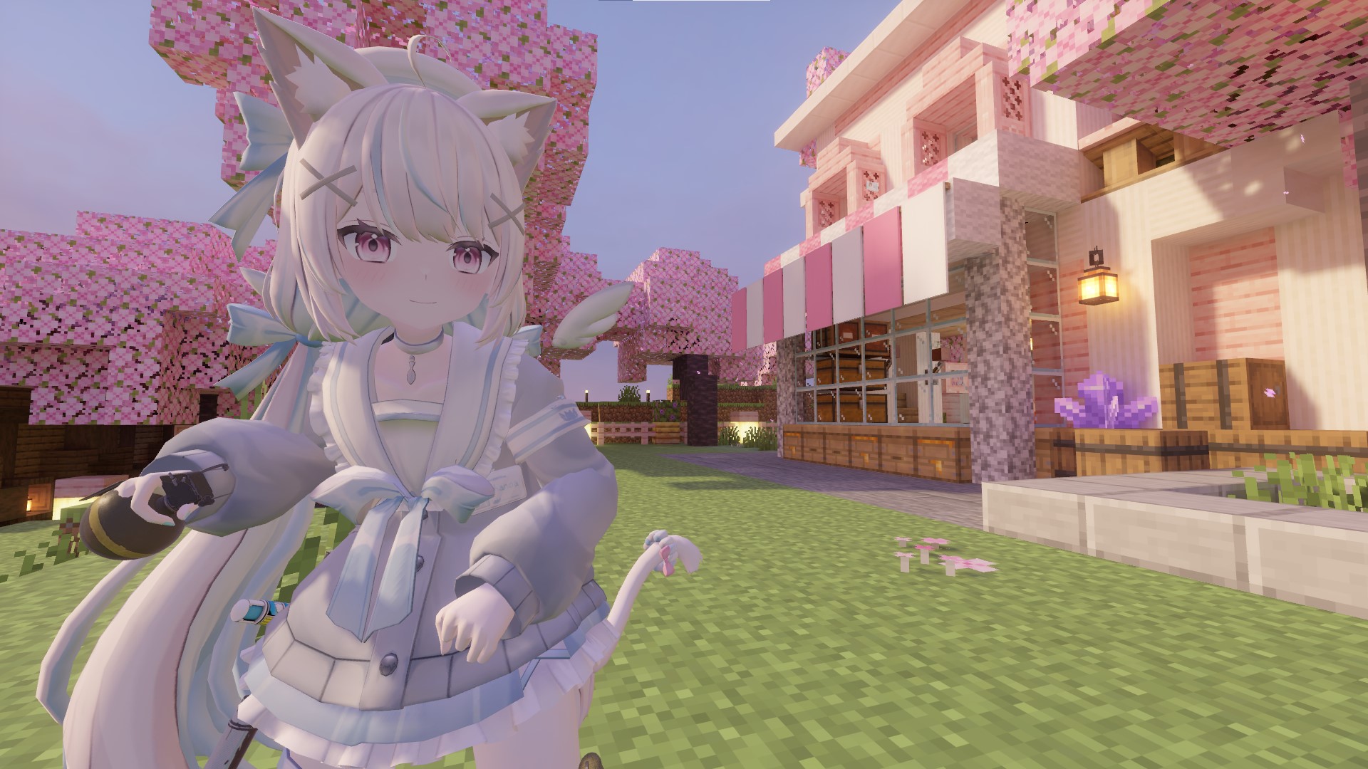 shanoa_1 1.jpg