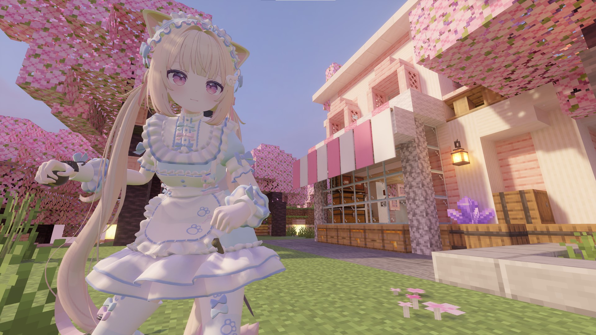 chiffion_N 1.jpg