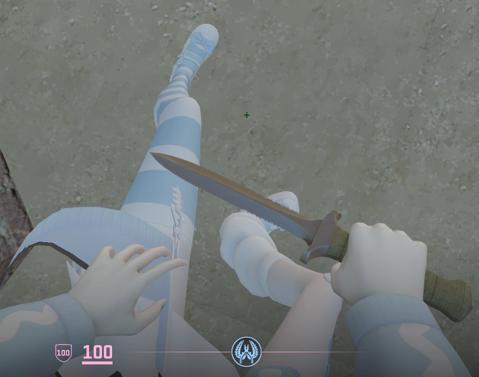 阿纳梅娅腿模.png