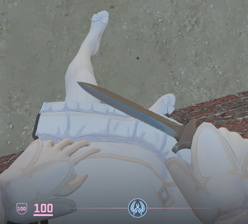 百合园圣娅腿模.png