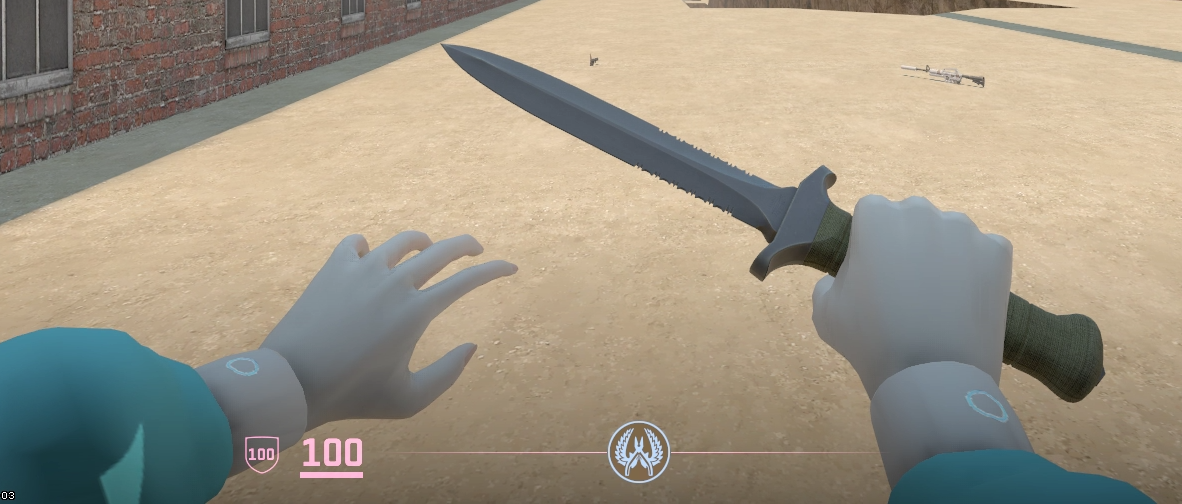阿罗娜手模.png