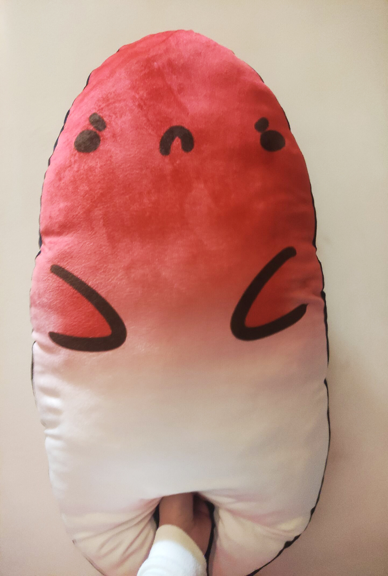 之前的实物图