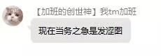 肥肥.jpg